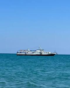 Hurma - 27