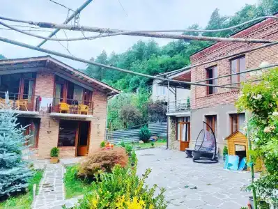 Гиомани Боржоми - 35