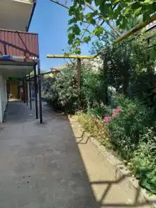 Уютные апартаменты - 0