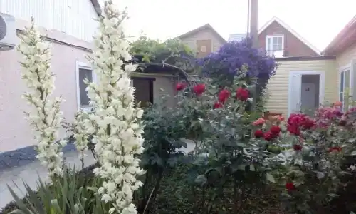 Уютные апартаменты - 1