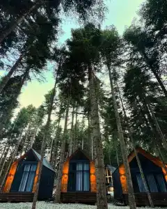 Barn&Wood - 2