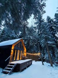 Barn&Wood - 10