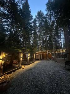 Barn&Wood - 16