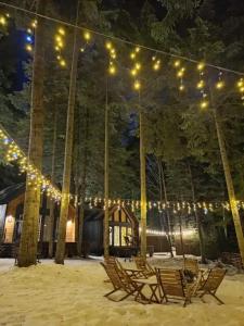 Barn&Wood - 15