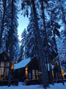 Barn&Wood - 29