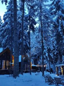 Barn&Wood - 30