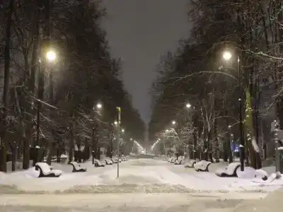 Причал - 115