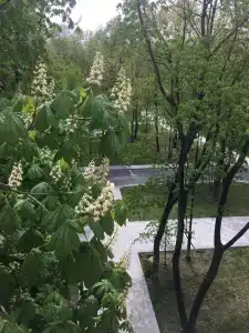Причал - 117