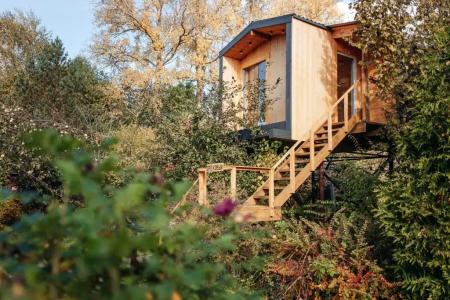 Дом на дереве - 25