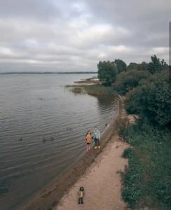 Дом на дереве - 35