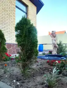 Гостевой дом у Ларисы - 1