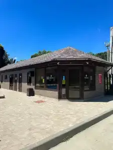 Кипарис - 4
