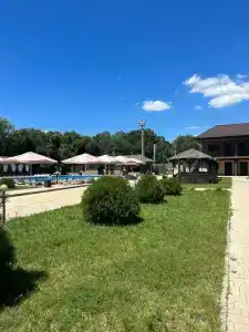 Кипарис - 3