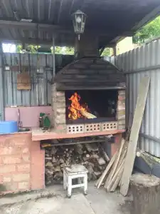 Дельфин - 1