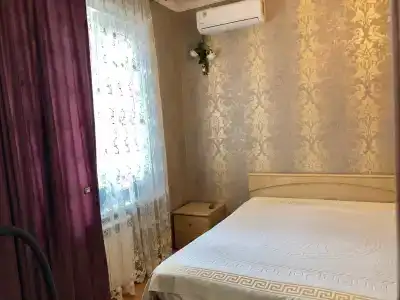 у Алисы - 40