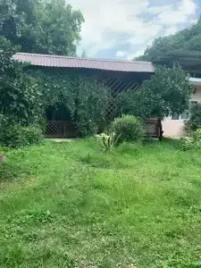 Каролина - 3