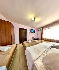 Дом Солнца - 174