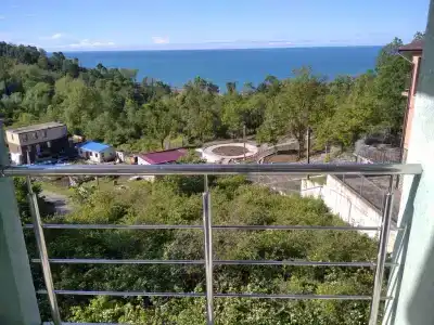Мята - 21