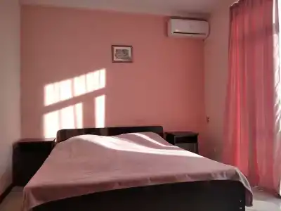 Мята - 24