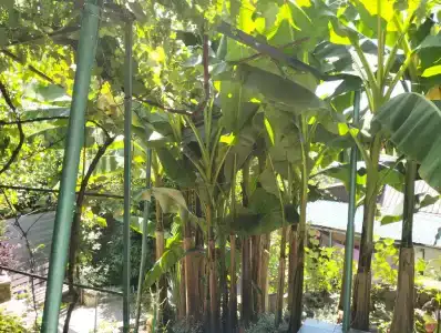 Гостевой дом Семейный - 1