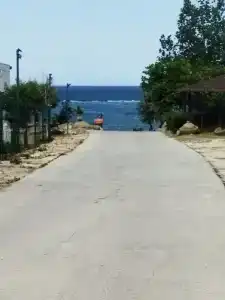 Золотой бриз - 4