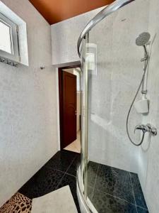 Альбатрос - 151