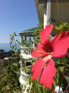 Seahousesochi - 14