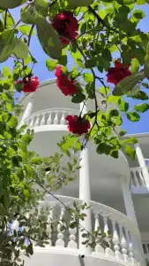 Seahousesochi - 15