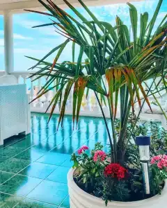 Seahousesochi - 16