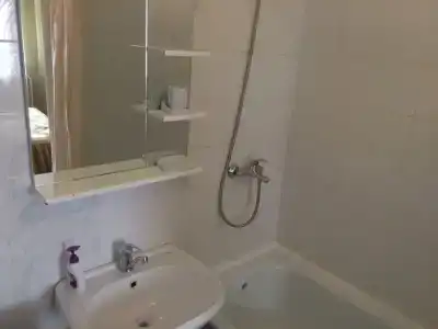 Катальпа - 19