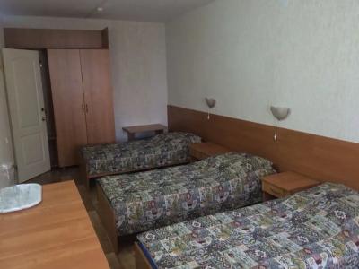 Катальпа - 26