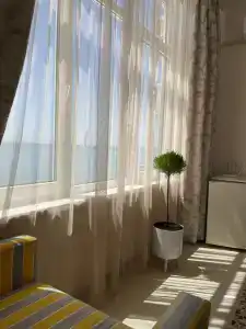 Пионер - 10