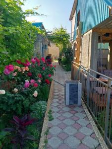 Ирена - 0