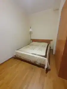 Туя - 47