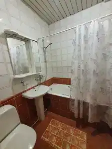Туя - 52