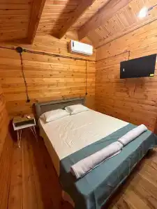 Алиша - 1