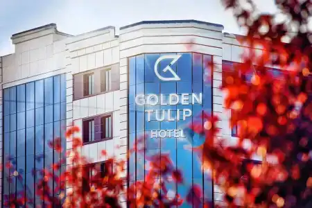 Golden Tulip - 2