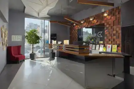Golden Tulip - 7