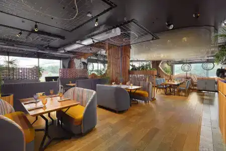 Golden Tulip - 9
