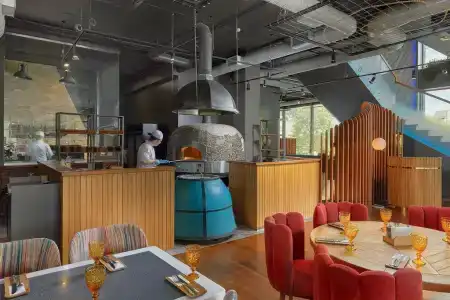 Golden Tulip - 11