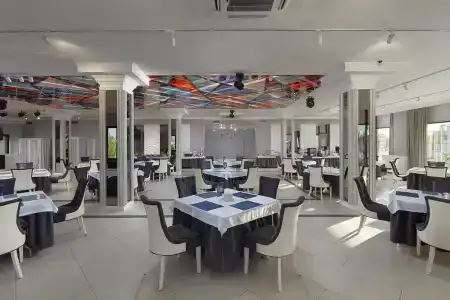 Golden Tulip - 14