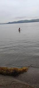 Глэмпинг у моря. Тихий ночлег - 14