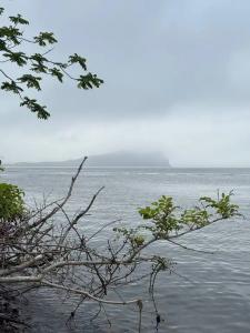 Глэмпинг у моря. Тихий ночлег - 16