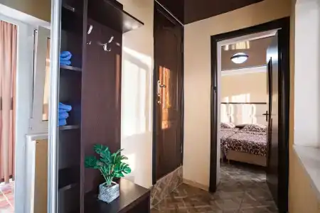 Анютины Глазки - 36