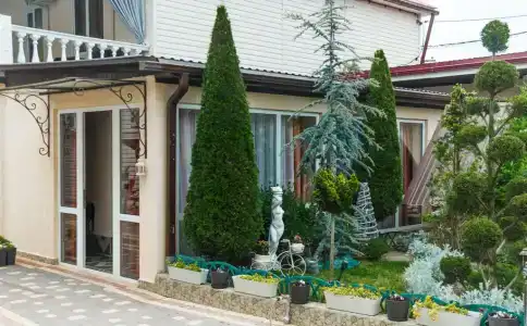 Анютины Глазки - 50