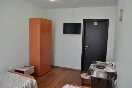 Артик - 31
