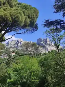 Морской Бриз - 20