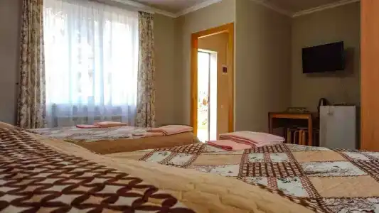 Теремок - 24