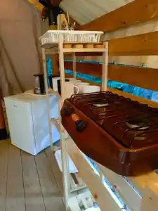Дикий Дом - 1