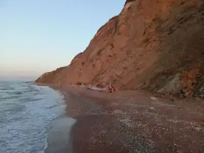 Сафари - 16
